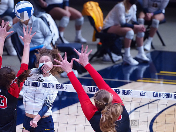 WomenÕs Volleyball: California Golden Bears vs Utah Utes