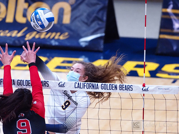 WomenÕs Volleyball: California Golden Bears vs Utah Utes