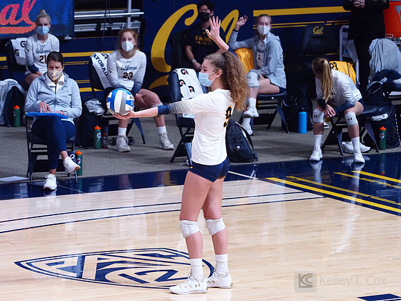 WomenÕs Volleyball: California Golden Bears vs Utah Utes