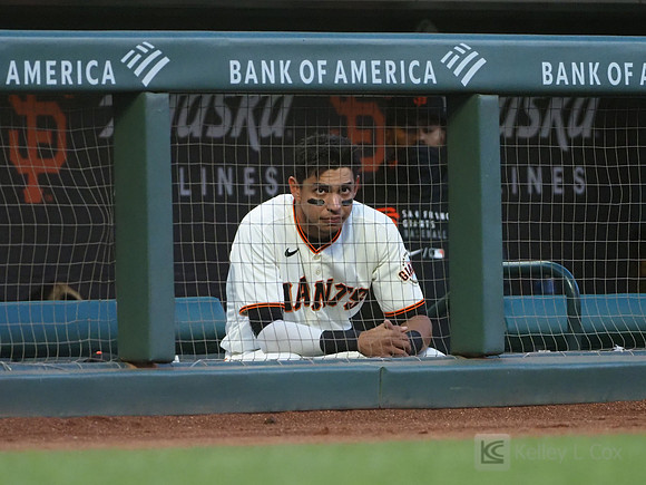 MLB: Cincinnati Reds at San Francisco Giants