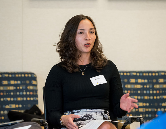 CAA: Chevron STEM Panel