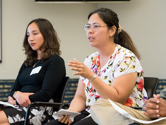CAA: Chevron STEM Panel