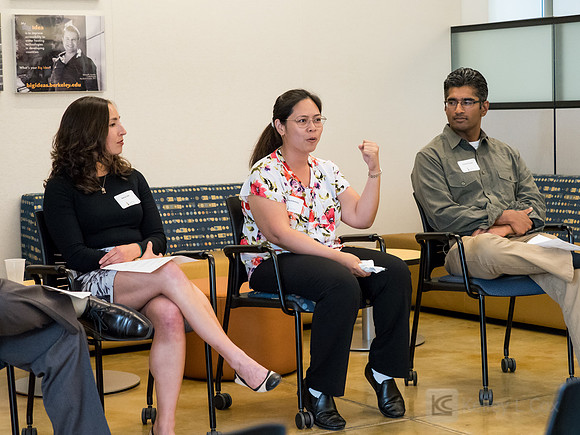 CAA: Chevron STEM Panel