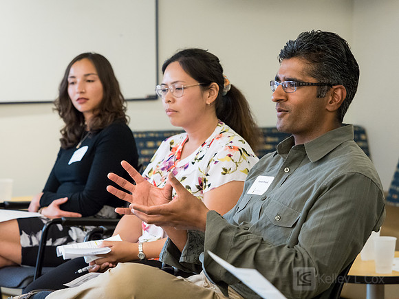 CAA: Chevron STEM Panel