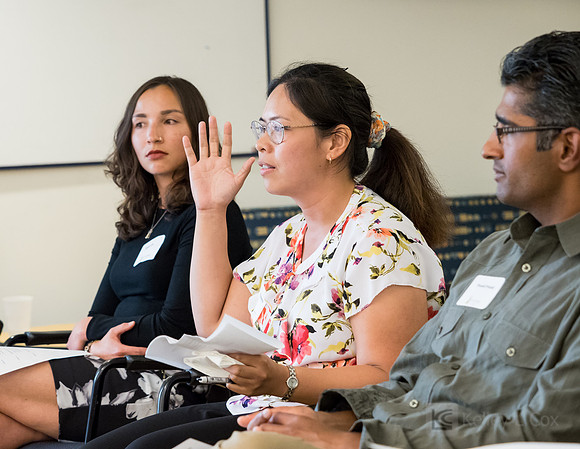 CAA: Chevron STEM Panel