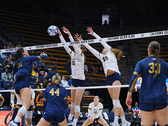Volleyball: California Golden Bears vs Notre Dame Fighting Irish