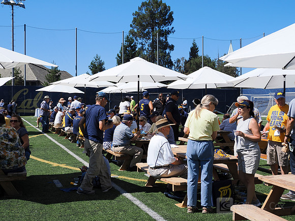 Tailgate Town