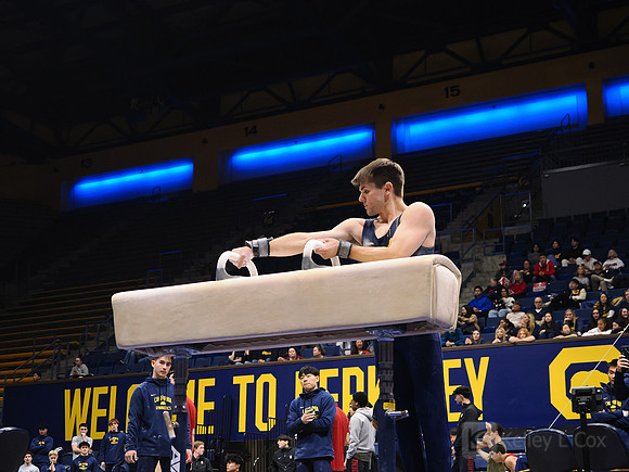 Men’s Gymnastics: California Golden Bears vs Stanford Cardinal