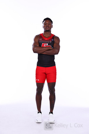 Amir Hollis