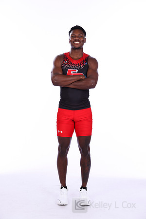Amir Hollis