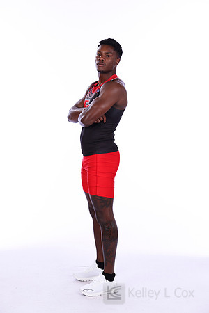 Amir Hollis