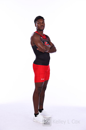 Amir Hollis