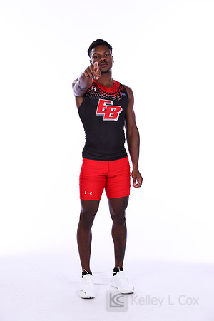 Amir Hollis