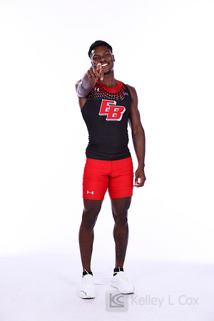 Amir Hollis