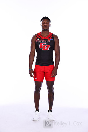 Amir Hollis