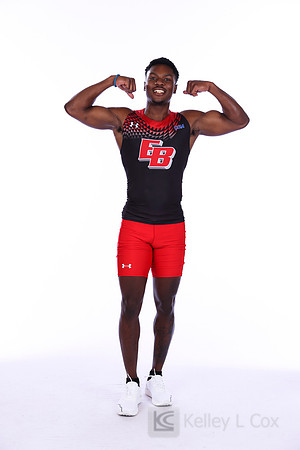 Amir Hollis