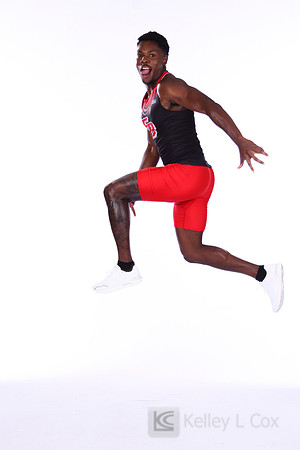 Amir Hollis