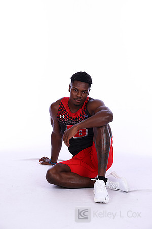 Amir Hollis