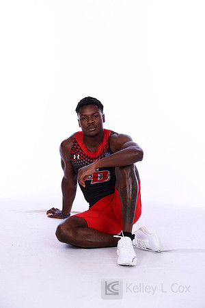 Amir Hollis