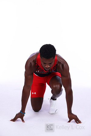Amir Hollis