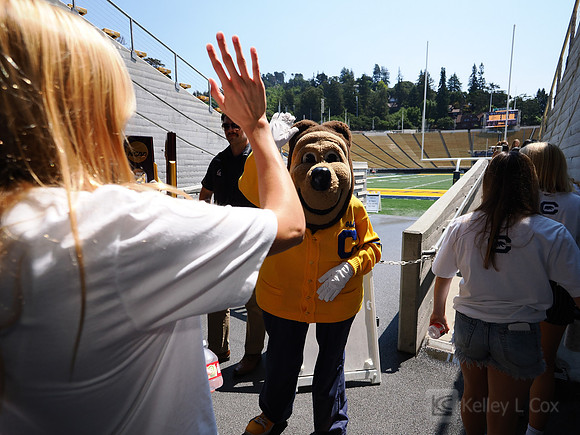 California Golden Bears Welcome Back BBQ