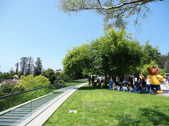 California Golden Bears Welcome Back BBQ