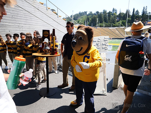 California Golden Bears Welcome Back BBQ