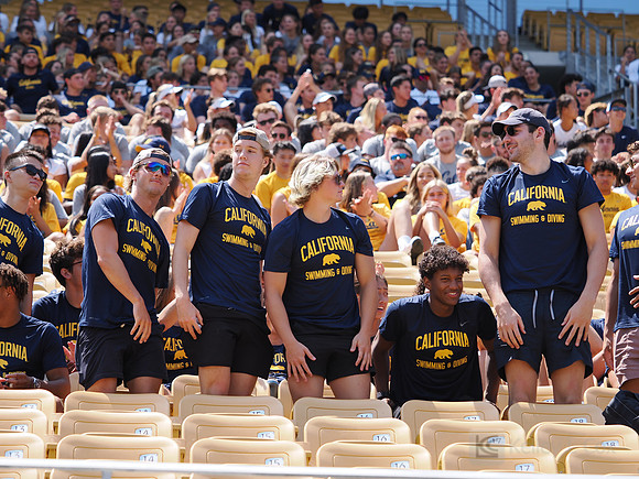 California Golden Bears Welcome Back BBQ