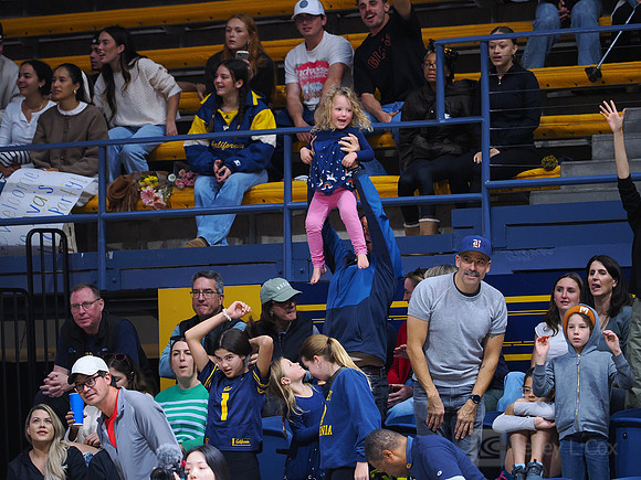 Volleyball: California Golden Bears vs Notre Dame Fighting Irish