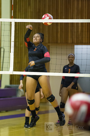 Volleyball: Berkeley at Piedmont