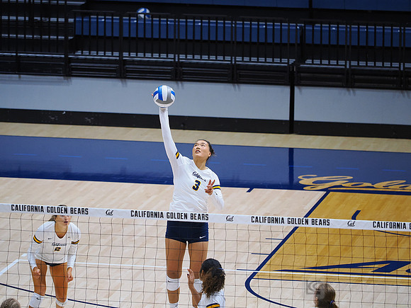 Volleyball: California Golden Bears vs Notre Dame Fighting Irish