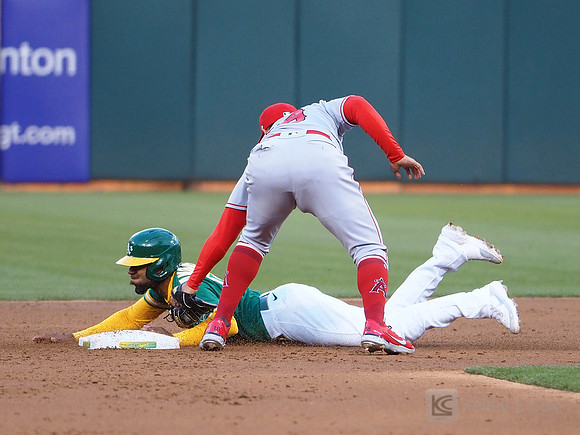 MLB: Los Angeles Angels at Oakland Athletics