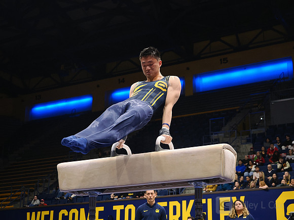 Men’s Gymnastics: California Golden Bears vs Stanford Cardinal