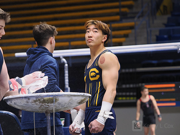 Men’s Gymnastics: California Golden Bears vs Stanford Cardinal