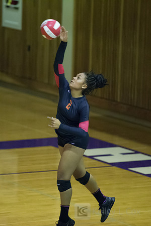 Volleyball: Berkeley at Piedmont