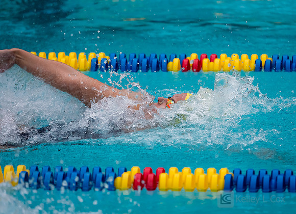 Women's Swimming: North Carolina State Wolfpack at California Golden Bears