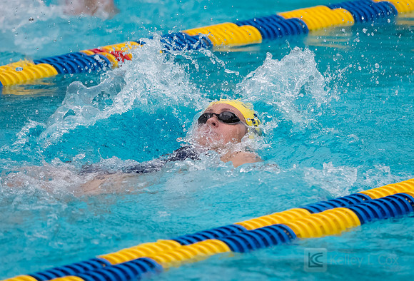 Women's Swimming: North Carolina State Wolfpack at California Golden Bears