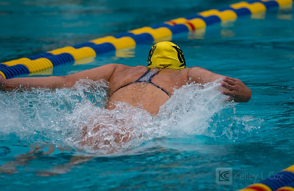Women's Swimming: North Carolina State Wolfpack at California Golden Bears