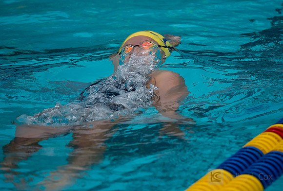 Women's Swimming: North Carolina State Wolfpack at California Golden Bears