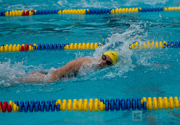 Women's Swimming: North Carolina State Wolfpack at California Golden Bears