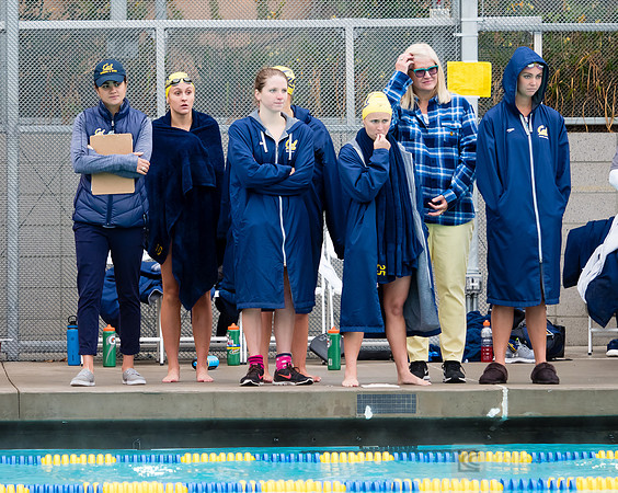Women's Swimming: North Carolina State Wolfpack at California Golden Bears