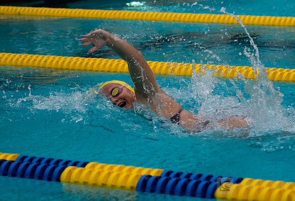 Women's Swimming: North Carolina State Wolfpack at California Golden Bears