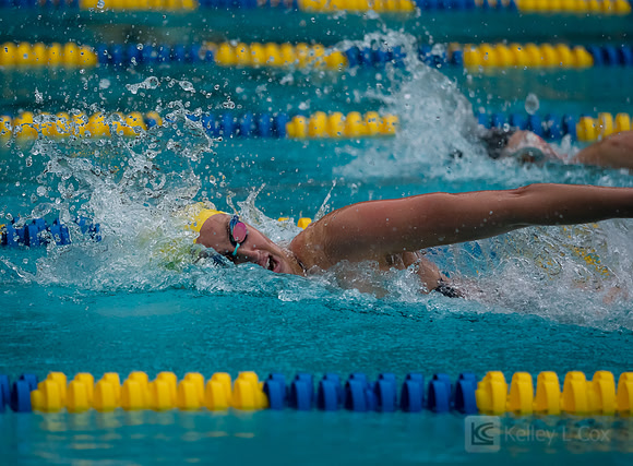 Women's Swimming: North Carolina State Wolfpack at California Golden Bears