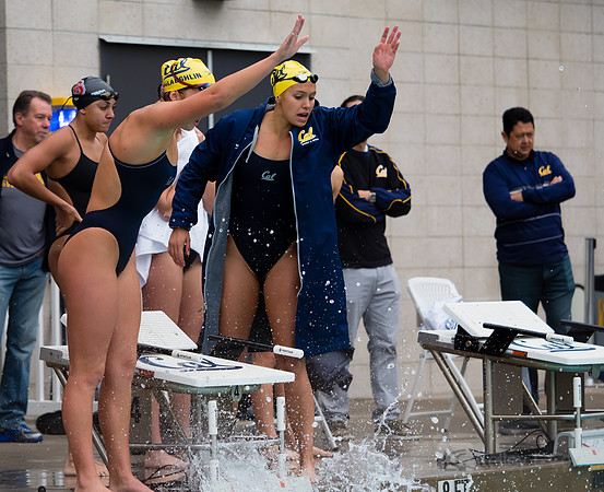 Women's Swimming: North Carolina State Wolfpack at California Golden Bears