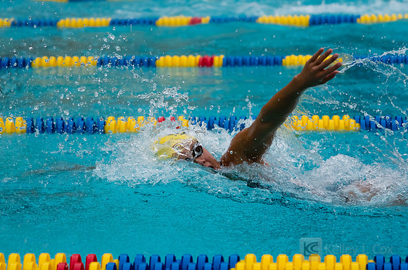 Women's Swimming: North Carolina State Wolfpack at California Golden Bears
