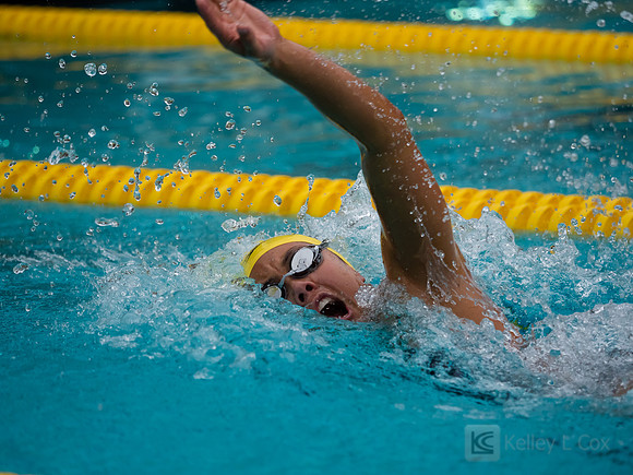 Women's Swimming: North Carolina State Wolfpack at California Golden Bears
