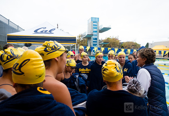 Women's Swimming: North Carolina State Wolfpack at California Golden Bears