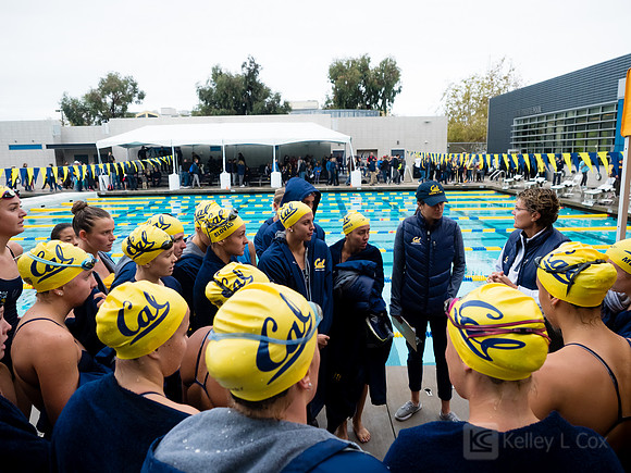 Women's Swimming: North Carolina State Wolfpack at California Golden Bears
