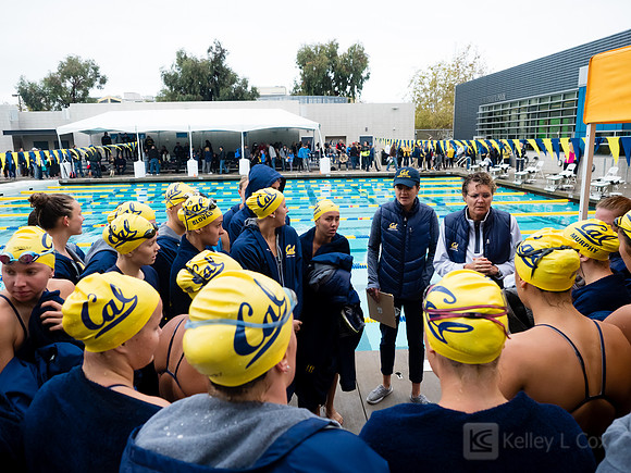 Women's Swimming: North Carolina State Wolfpack at California Golden Bears