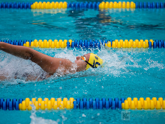 Sophia Krivokapic-Zhou